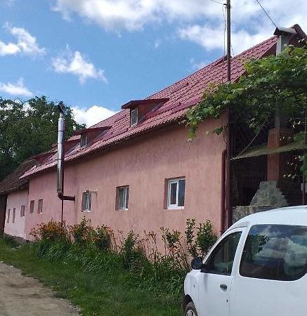 הוילה Cîrţişoara Casa Boierului Imbri מראה חיצוני תמונה