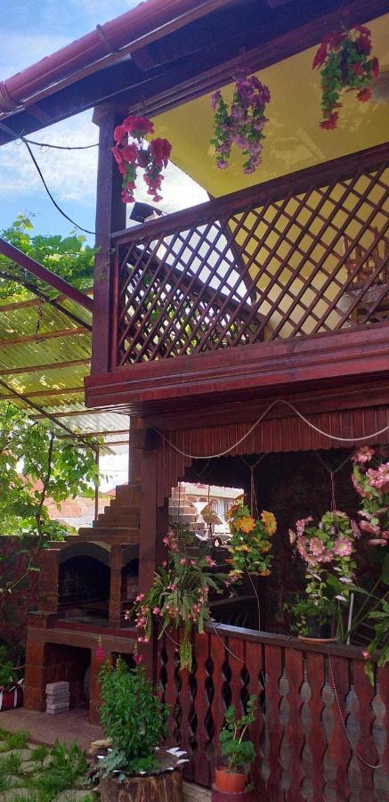 הוילה Cîrţişoara Casa Boierului Imbri מראה חיצוני תמונה