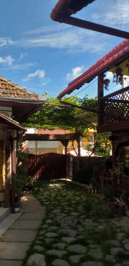 הוילה Cîrţişoara Casa Boierului Imbri מראה חיצוני תמונה