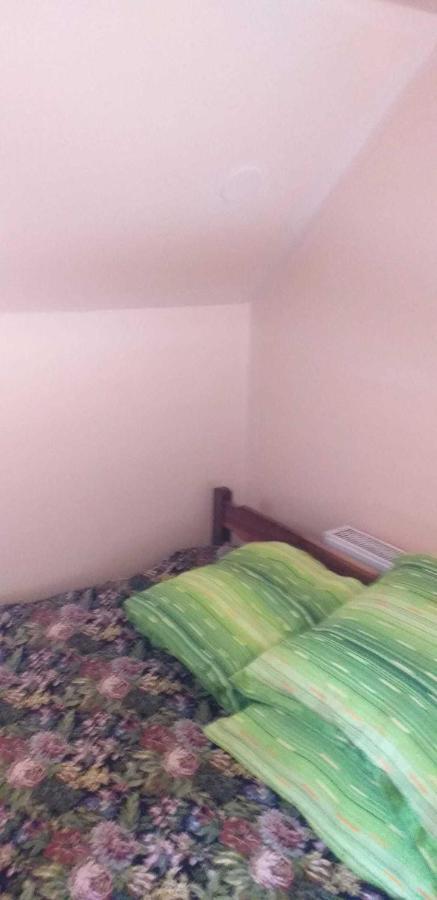 הוילה Cîrţişoara Casa Boierului Imbri מראה חיצוני תמונה