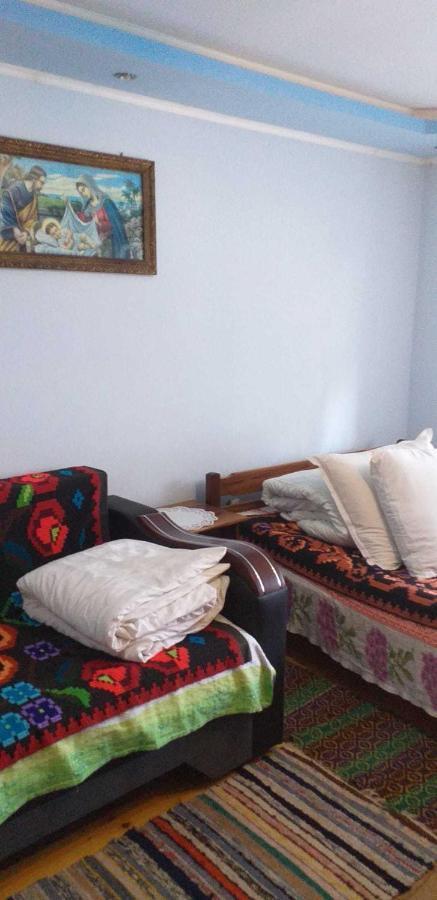 הוילה Cîrţişoara Casa Boierului Imbri מראה חיצוני תמונה