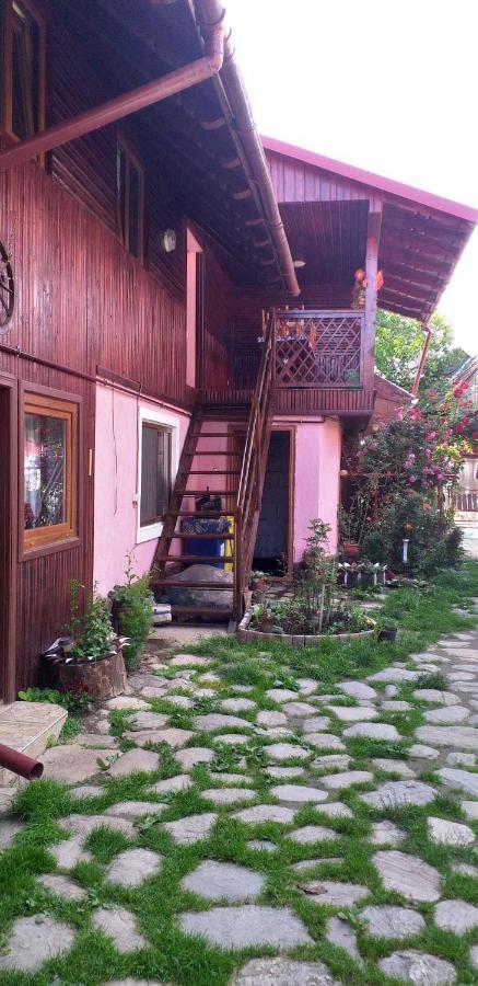 הוילה Cîrţişoara Casa Boierului Imbri מראה חיצוני תמונה