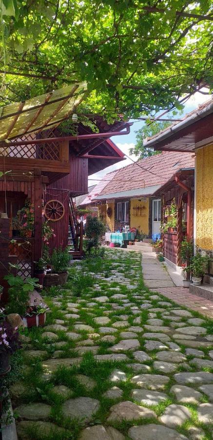 הוילה Cîrţişoara Casa Boierului Imbri מראה חיצוני תמונה