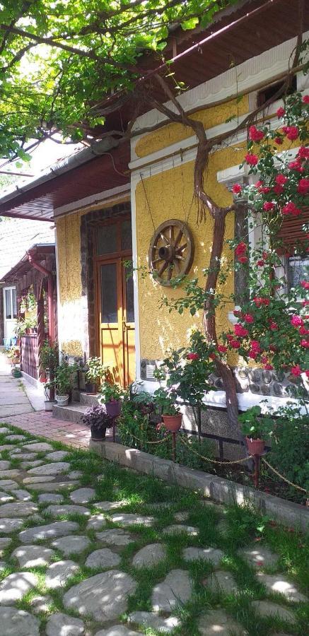 הוילה Cîrţişoara Casa Boierului Imbri מראה חיצוני תמונה