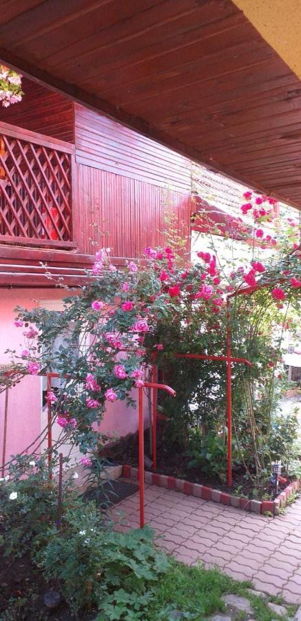 הוילה Cîrţişoara Casa Boierului Imbri מראה חיצוני תמונה